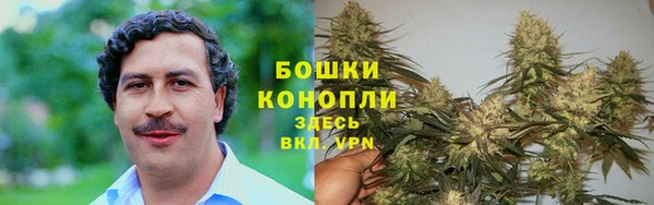 ПСИЛОЦИБИНОВЫЕ ГРИБЫ Балахна
