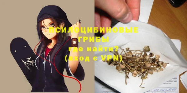 ПСИЛОЦИБИНОВЫЕ ГРИБЫ Балахна