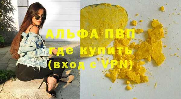 индика Баксан