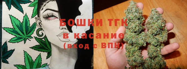 ПСИЛОЦИБИНОВЫЕ ГРИБЫ Балахна