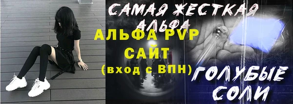 индика Баксан