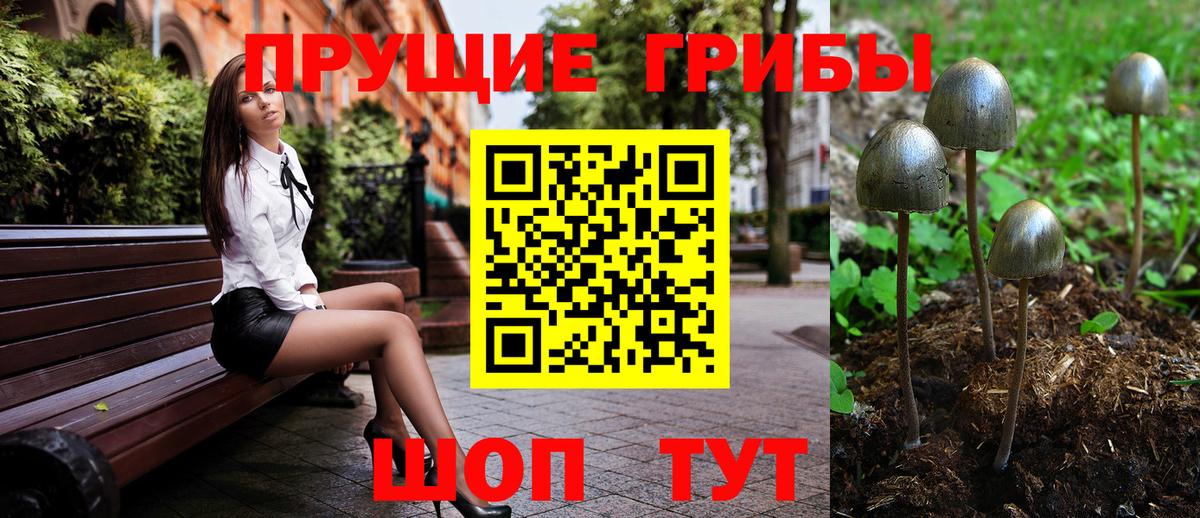 Галлюциногенные грибы Magic Shrooms  Вход с VPN  Коммунар 