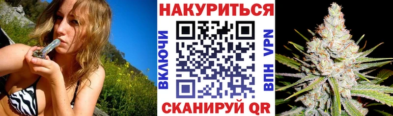 Канабис сатива  Коммунар 